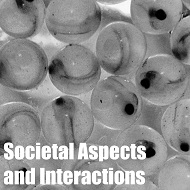 Responsible Innnovation